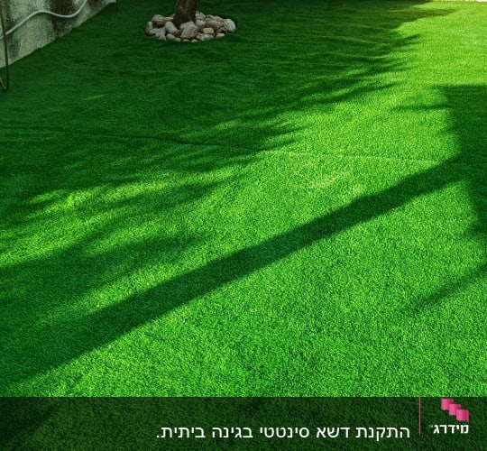 דשא סינתטי ועץ עם אבנים מסביב